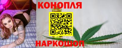 спайс Гай