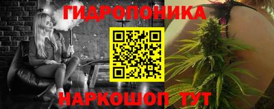 спайс Гай