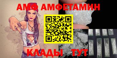 спайс Гай